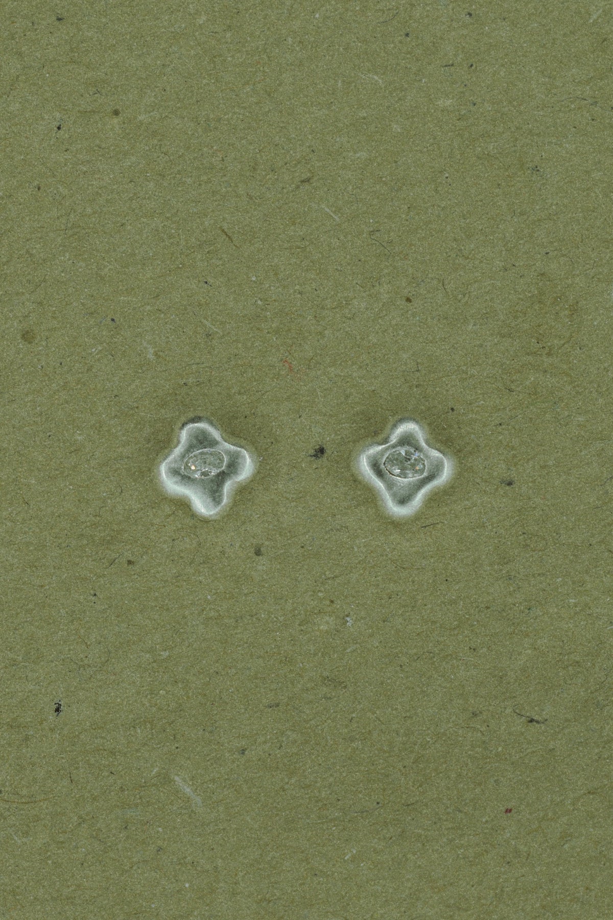 PENDIENTES FIORE